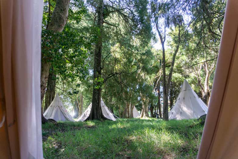 Homepage-Sections-Tepee